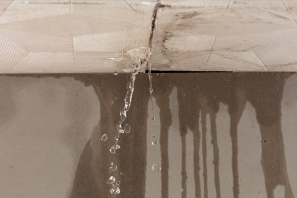 Professional Water Damage Repair technician working in Creston, IL